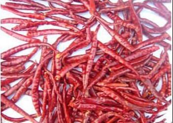 30000 SHU Chinese Dried Chili Peppers Chili Pods Hot Tasty rojo acre