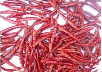 Pimentones secos chinos sin tallo La clave para una comida agradable