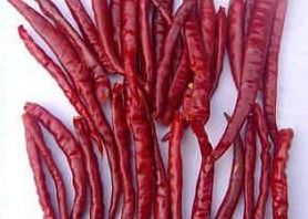 Pimientos picantes secos de ingrediente esencial para la cocina tradicional china
