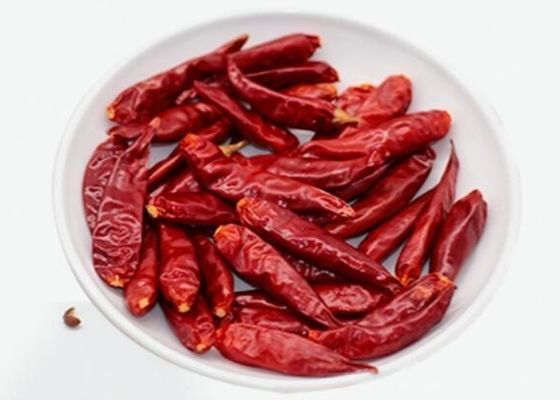 El chile rojo secado humedad certificado HALAL del 12% sazona el pimiento con pimienta
