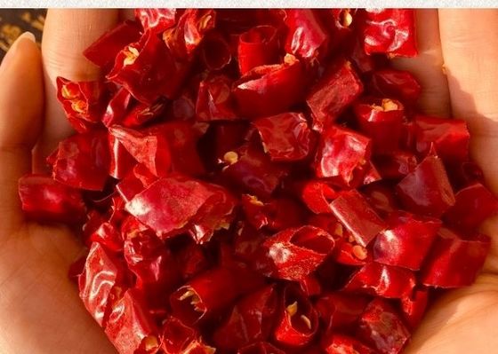 El establecimiento de la base y el proceso de chinos calientes secaron a Chili Peppers Nature Red