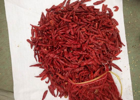 Condimentos deshidratados de las especias y de las hierbas de Paprika Dried Red Chilli Peppers de las verduras