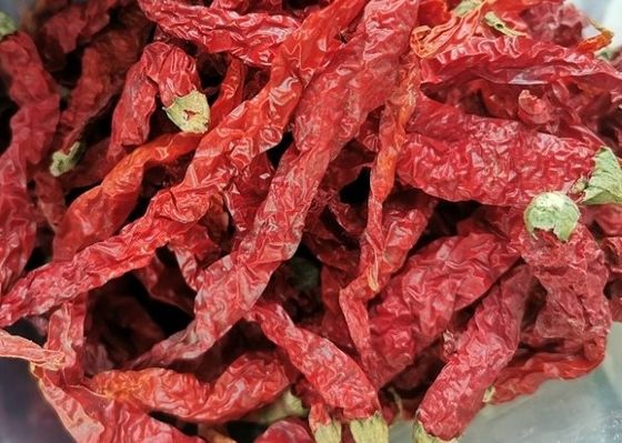 Especias materiales secas de Chili Hot Pot Seasoning Raw de la pimienta del mijo de Guizhou Mantianxing