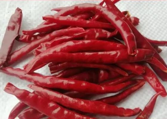 La especia sabrosa que sazonaba Yunnan secó los chiles rojos sazona el azufre con pimienta no-