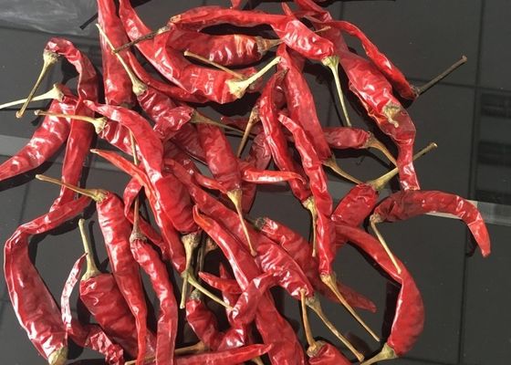 Nueva cosecha FDA HACCP ISO de los chiles rojos rojos de Yidu Chili Tianying Jinta Chili American KOSHER