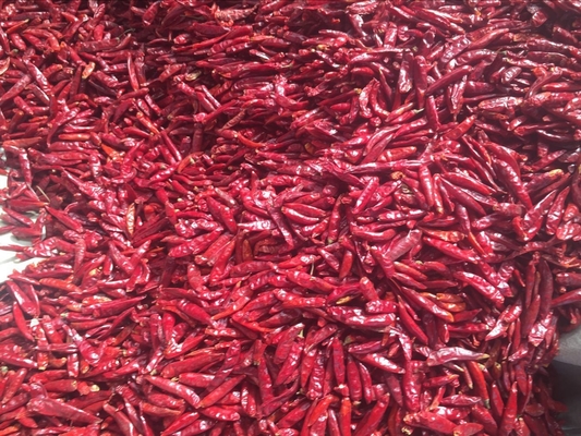 El chile rojo secado certificado de BRC sazona el sabor con pimienta acre 10000-90000shu