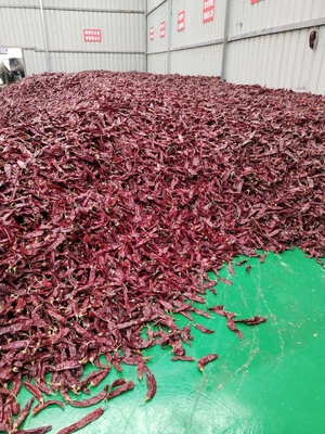 Grado A Guajillo seco Chili entero / bastón Impuridad 0.3% Grado máximo 10-15cm