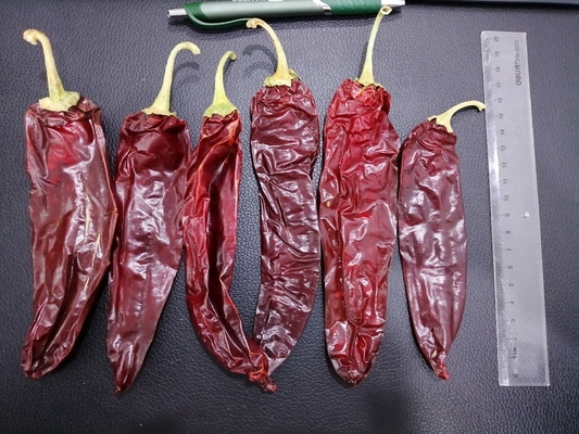 Los chiles California secaron a Guajillo que Chili Big Size Picked By da rojo natural