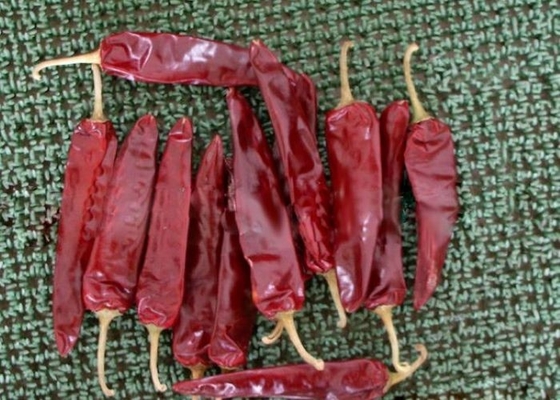 Los chiles secados los adobos de Jinta secaron la paprika caliente de las pimientas rojas