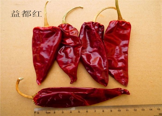 La fábrica de pimienta roja seca suministra chile Yidu con tallo / sin tallo