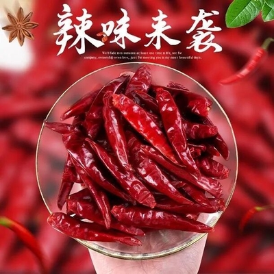 Tianjin Tien Tsin Dried Red Chilli sazona con pimienta para cocinar el ingrediente