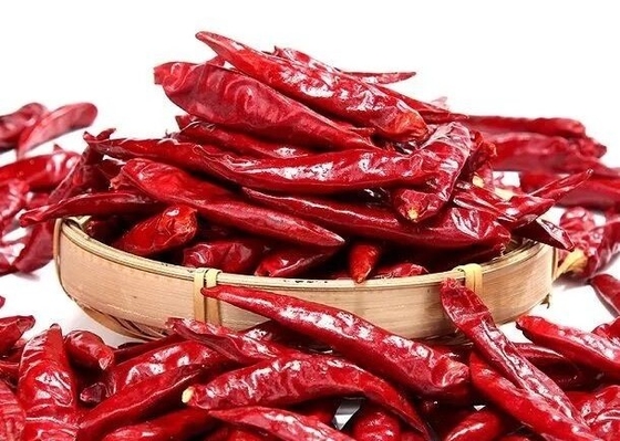 Chaotian secó los chiles rojos enteros Tianjin Chili Dehydrated de los chiles rojos