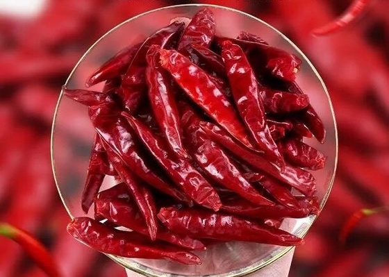 Las pimientas de Tien Tsin Dried Red Chilli para Szechuan diseñan cocinar a Kung Pao Ingredient