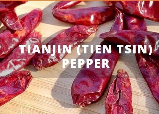 Paquete de vacío de Tianjin Tien Tsin Chile Peppers In 5lb del chino