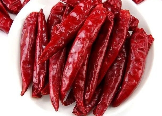 Auténticos pimientos calientes de Tianjin secos de 4-7 cm de baja impureza empacados en bolsas de 10 o 25 kg.