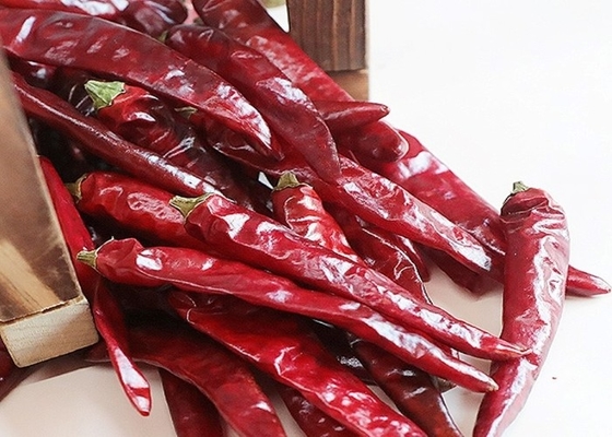 El chile rojo secado suave no irradiado sazona 4-7 con pimienta cm coció la humedad al vapor menos el de 11%