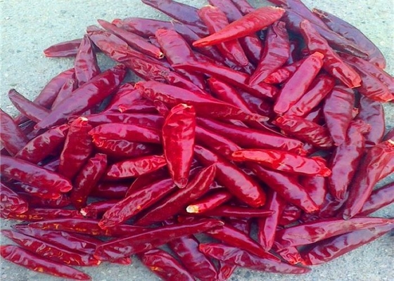 Tianjin secado los 7CM sin pie Tien Tsin Chile Peppers Chinese Neihuang