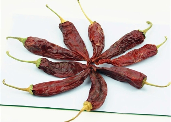 Jinta rojo Chilli Pimienta Fruta Aroma humeante 8%-12% Humedad 10-15 cm