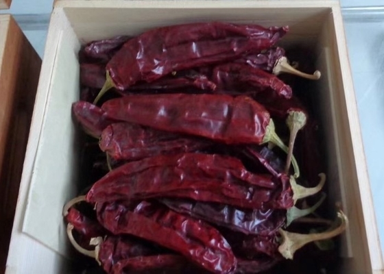 10-15 cm de pimientos secos de guuajillo calibre A con pimientos de pimientos rojos