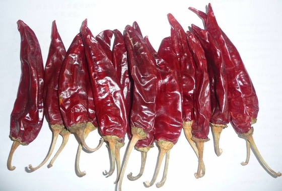 10-15 cm de pimientos secos de guuajillo calibre A con pimientos de pimientos rojos