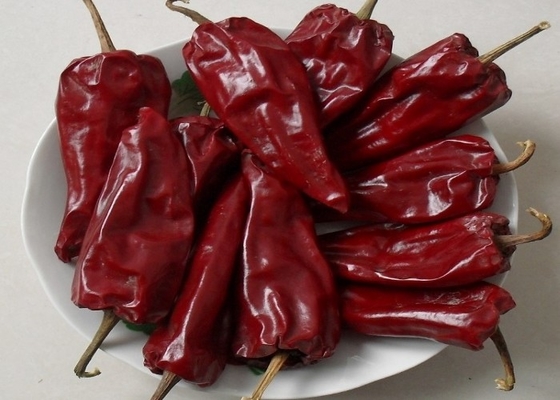 Yidu secado Chili With Stem Grade A secó las vainas rojas de Chile