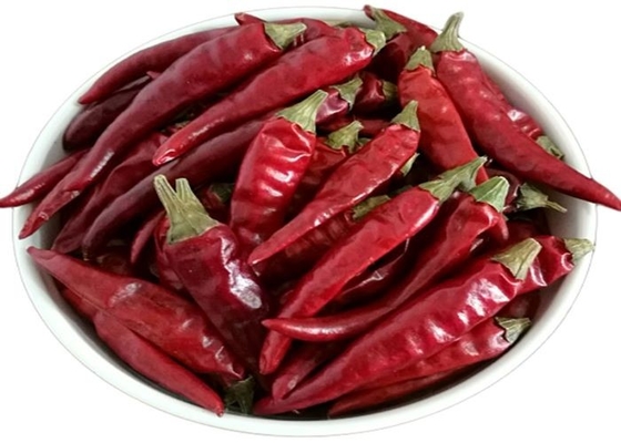 Pimienta roja picante secada caliente 4 - 7 cm Secada al sol 25 kg/bolsa