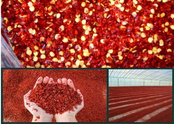 Bolsas de plástico dobles embalaje interior Pimienta roja molida con perfil de sabor en negrita