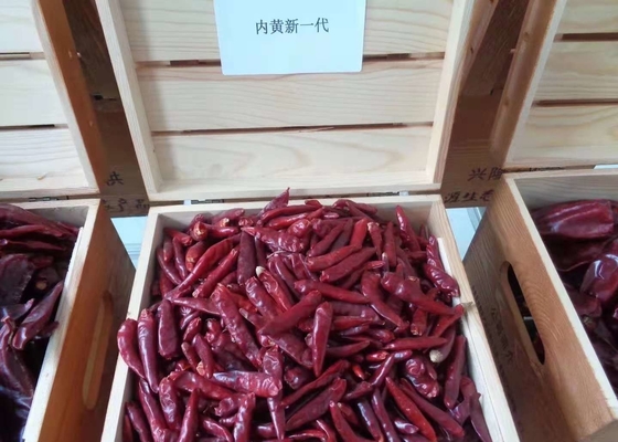 El chino sin pie Chaotian Szechuan secó las pimientas de chiles rojos alto SHU