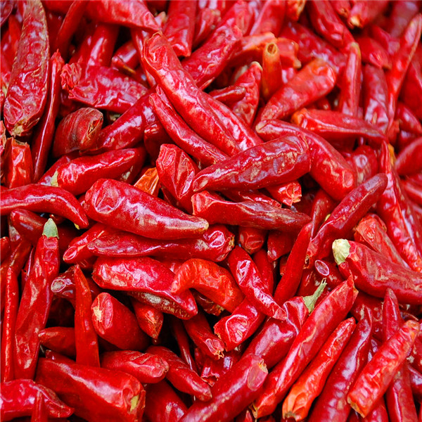Pimientos rojos secos enteros con ingredientes sin tallo añaden un poco de especias a sus comidas