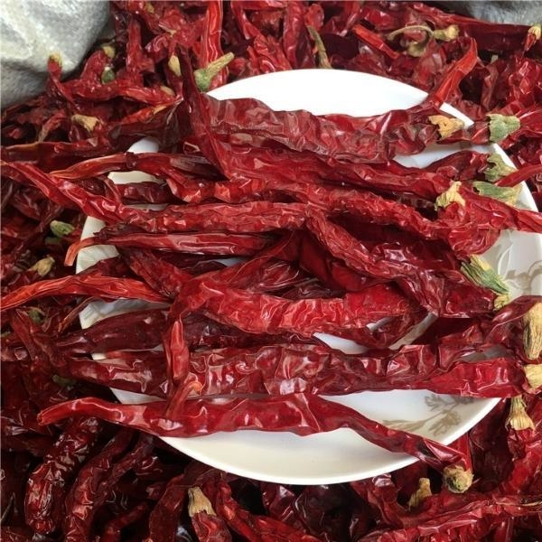 4 - los 7cm secaron los chiles rojos sazona el 99% con pimienta puro en el lugar fresco y seco 50000 SHU