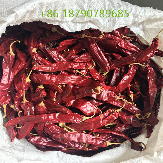 Chiles secos con pimentón rojo ahumado de España para cocinar y aromatizar