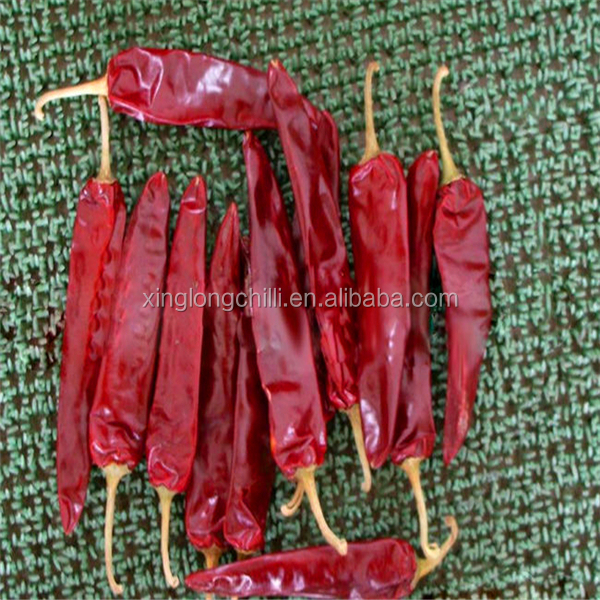 Cereza fuerte picante Chilis rojo guuajillo 500SHU 8% - 12% Humedad