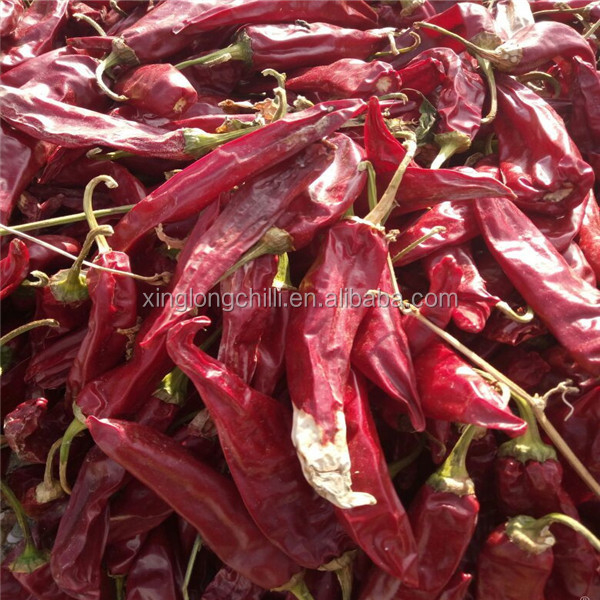 Pimentones secos de Yidu rojo fuerte picante almacenado en un lugar seco y fresco 200g