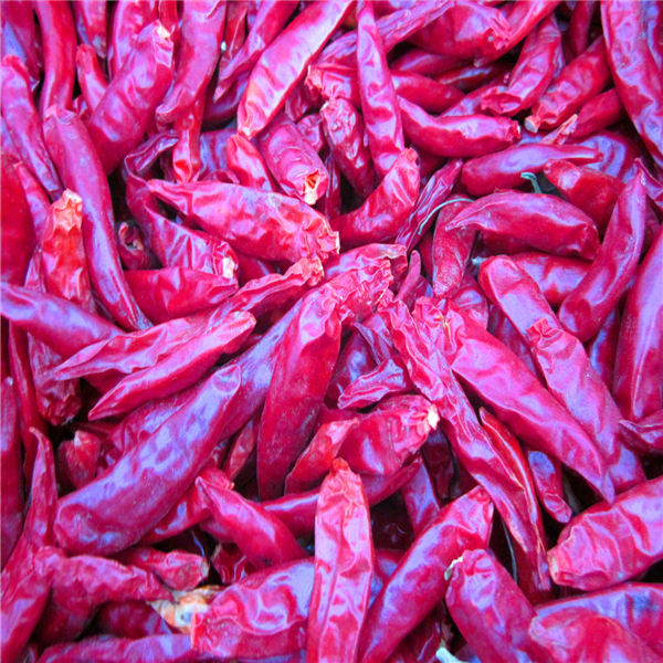 4-7cm Cayenne Pimientos de chile rojo secos Condiciones de almacenamiento Lugar fresco y seco