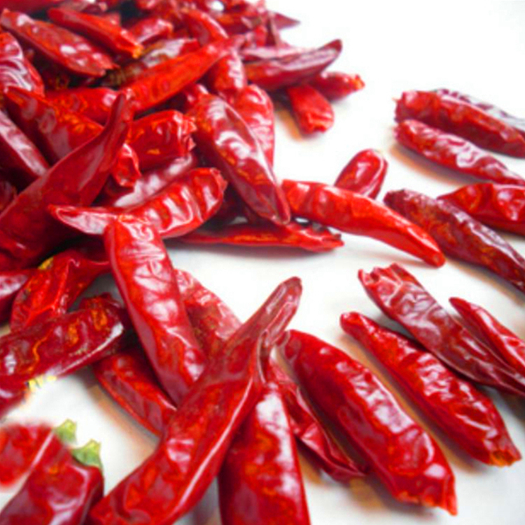 Pimientos de chile rojo secos sin tallo con humedad máxima del 14% en un lugar fresco y seco