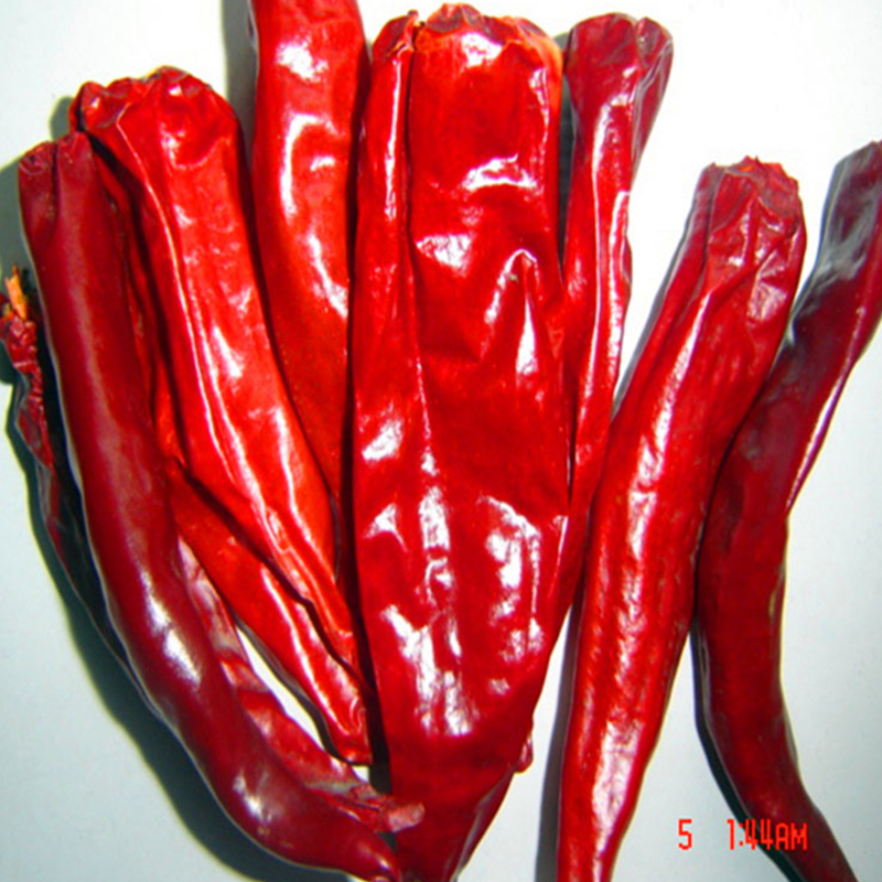 Piso caliente / cocina de Sichuan: pimientos rojos secos con fuerte sabor picante