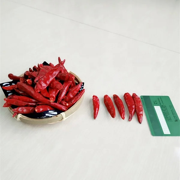 Chiles rojos redondos de Tianjin Un elemento básico para crear platos chinos deliciosos 100g