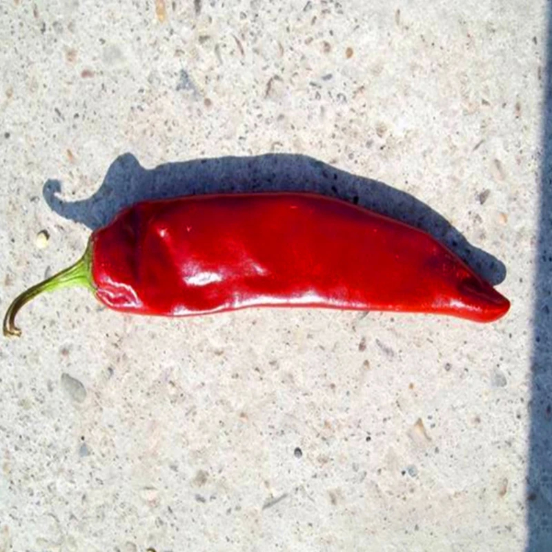 Paprika con sabor a chile intenso, color rojo rico y 8-12% de humedad