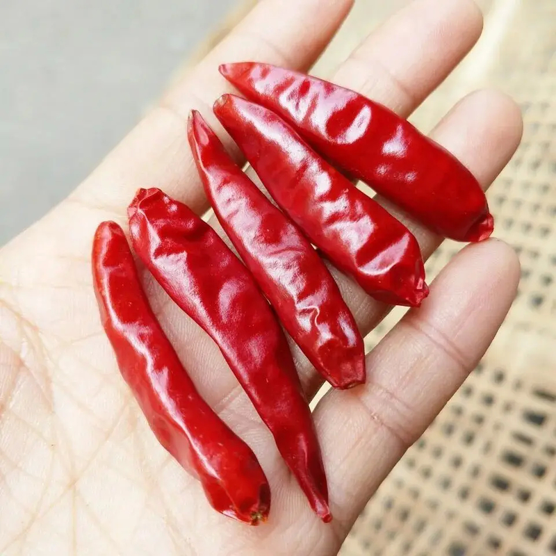 Chiles rojos secos enteros / chiles asiáticos secos Especias ardientes para aventuras culinarias
