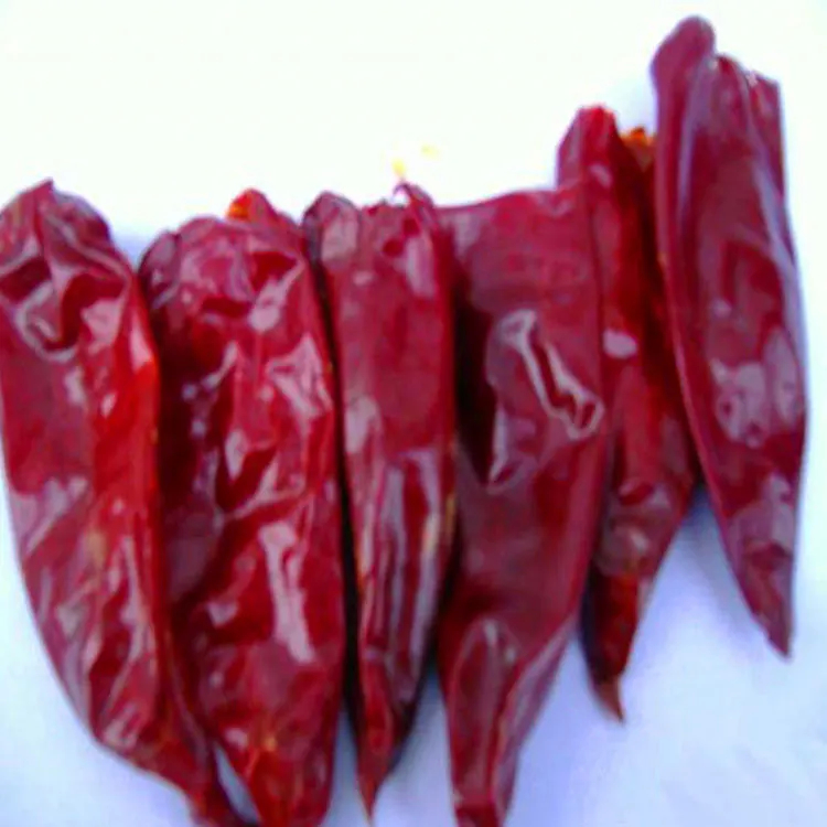 7-15cm de largo Yidu Chili fuerte sabor a chile picante para almacenamiento en un lugar seco y fresco