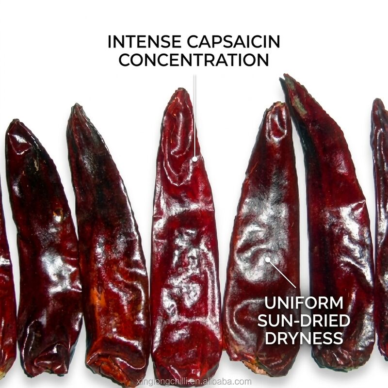 Pimientos rojos secos de baja humedad 8% Max Natural Sundried Premium Export Grade 4-7cm 5000-20000SHU