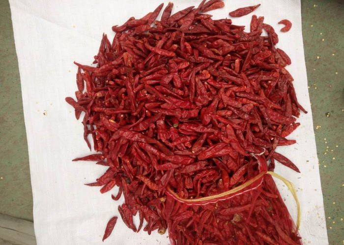 Chiles rojos picantes medios de Tianjin 8000 llanos Scoville que deseca las pimientas