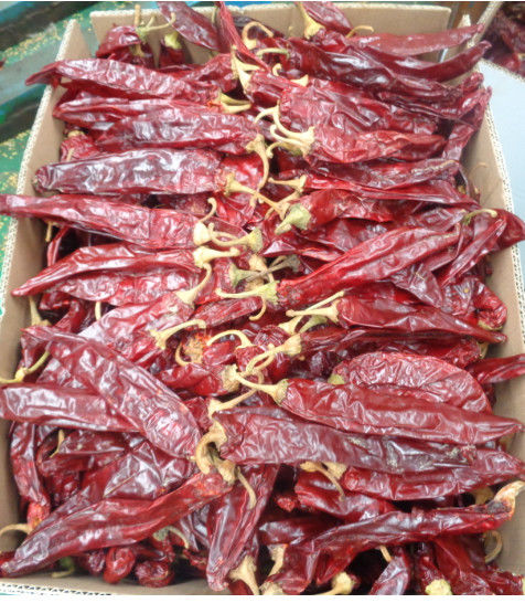 Paprika rojo dulce deshidratado Chilli Extracción de pigmento de color Pimientos picantes