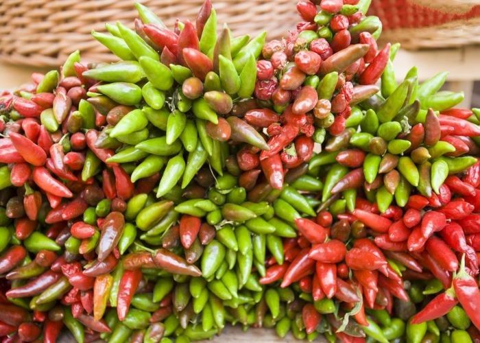 Ojo de pájaro seco Chilli alto nivel de calor 10000-20000shu Chilli Pepper para su beneficio