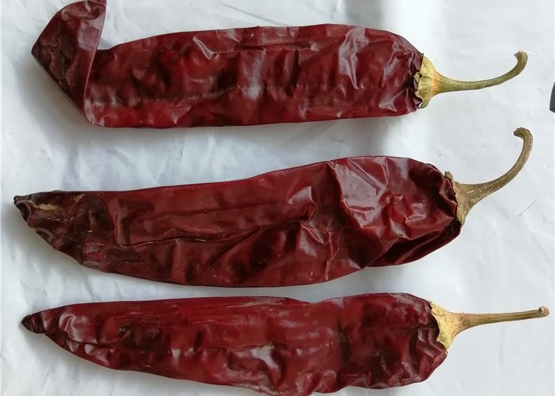 1 año de vida útil Paprika dulce Pimienta seca Chilli rojo Aditivo para ingredientes alimenticios de alta calidad