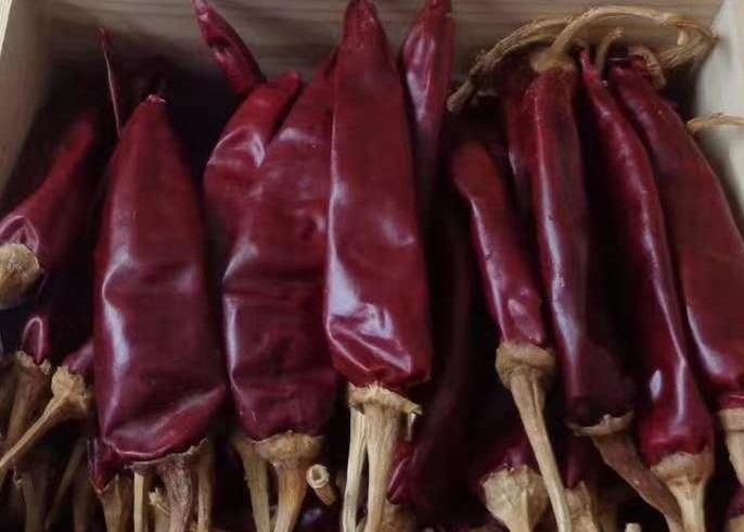 Pimientas rojas secadas calientes medias 10000SHU de Chile de la humedad del chile el 12% de Guajillo